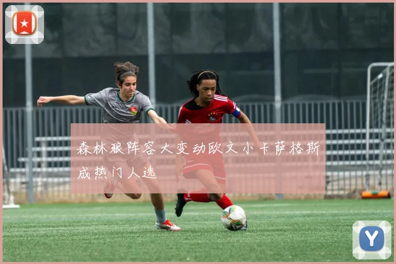 森林狼阵容大变动欧文小卡萨格斯成热门人选