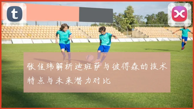 张佳玮解析迪班萨与彼得森的技术特点与未来潜力对比